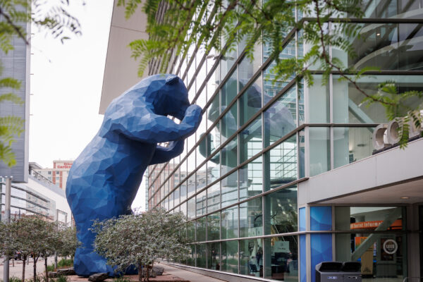 54626592115_531c3cfa3e_o