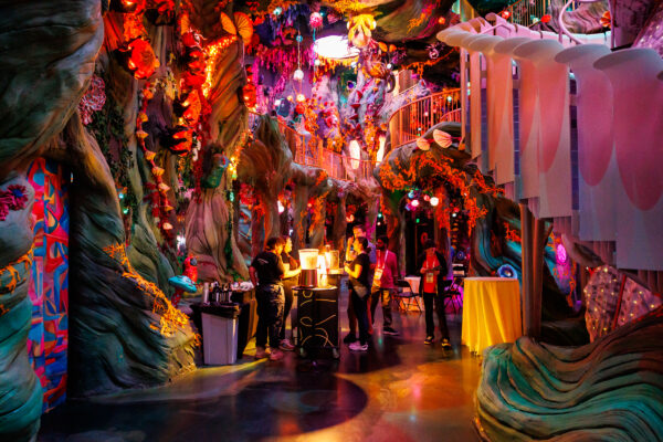 54626756990_2b988eb0c2_o