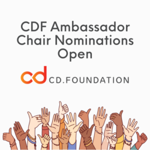 Ambassadors 2026 chair