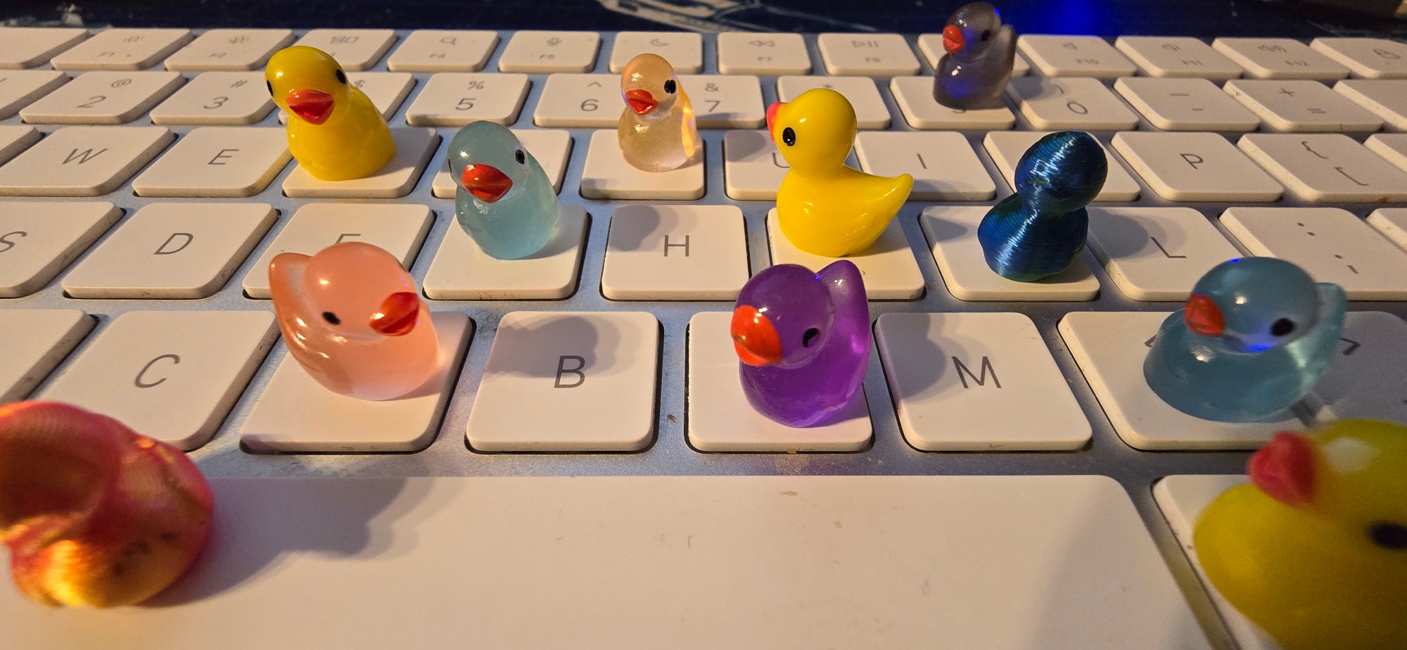 pavel ducks