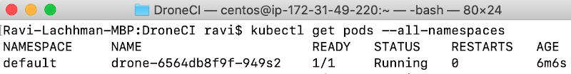 screenshot run log command kubectl get pods --all-namespaces