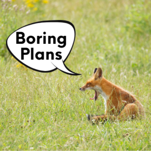 boring plans