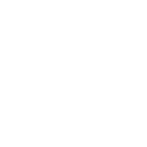 cd mini summit logo