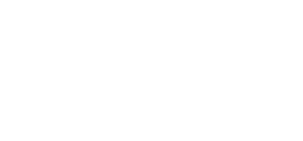 cdCon 2024 logo