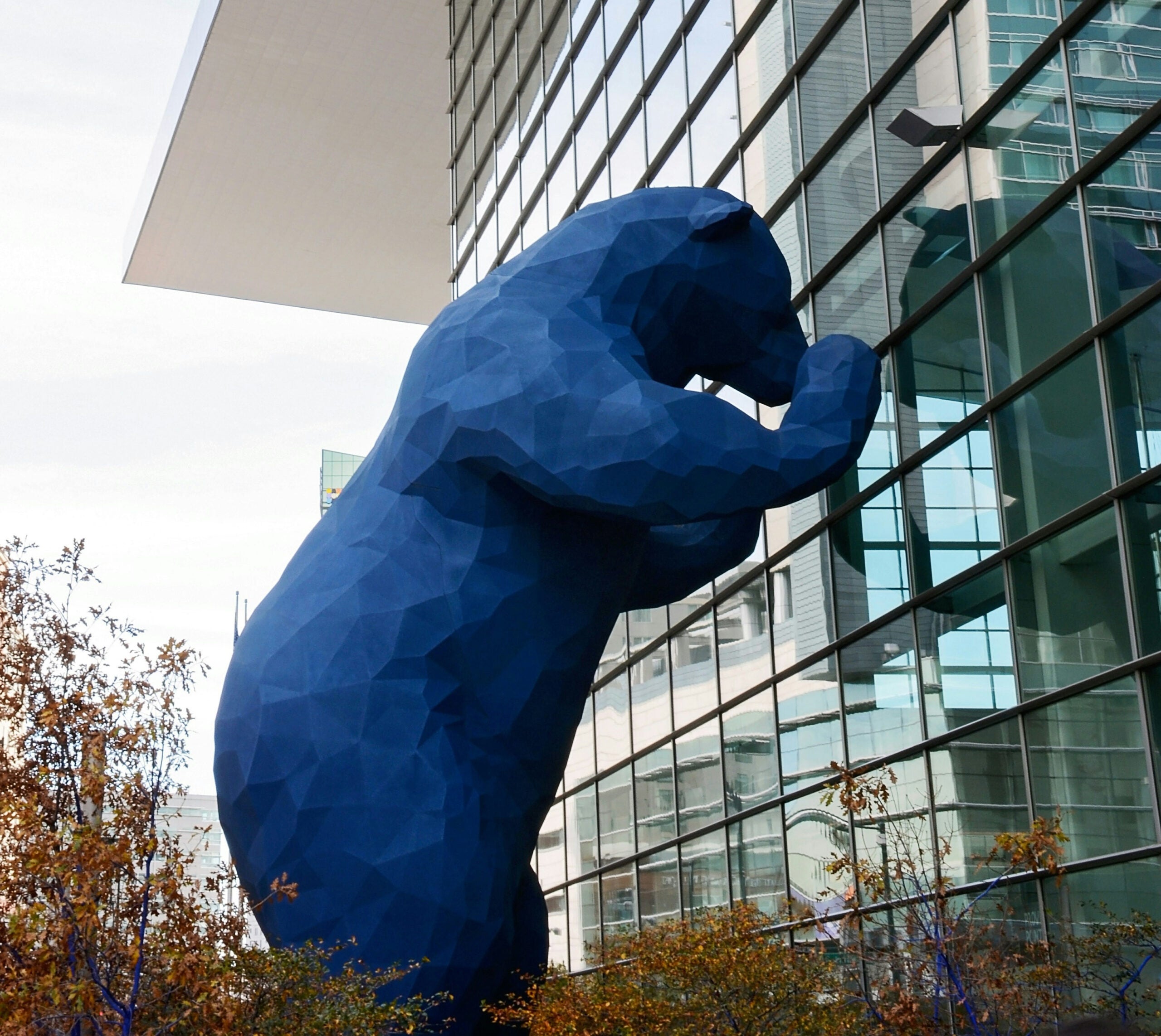 denver convention center bear